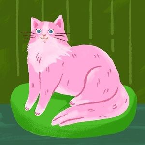 Meet your Posher, Paige